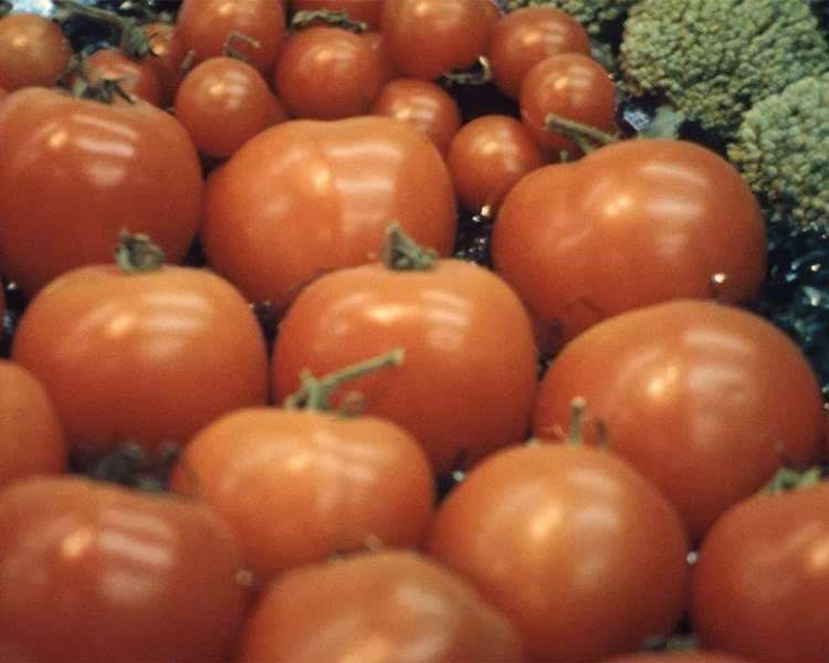 HEIRLOOM ITALY AP Marrone Farm & Produce | 306 Summit Point Rd, Summit Point, WV 25446, USA | Phone: (304) 725-2347