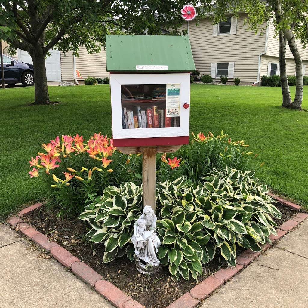 Little Free Library #53540 | 1212 3rd St, Harvard, IL 60033, USA