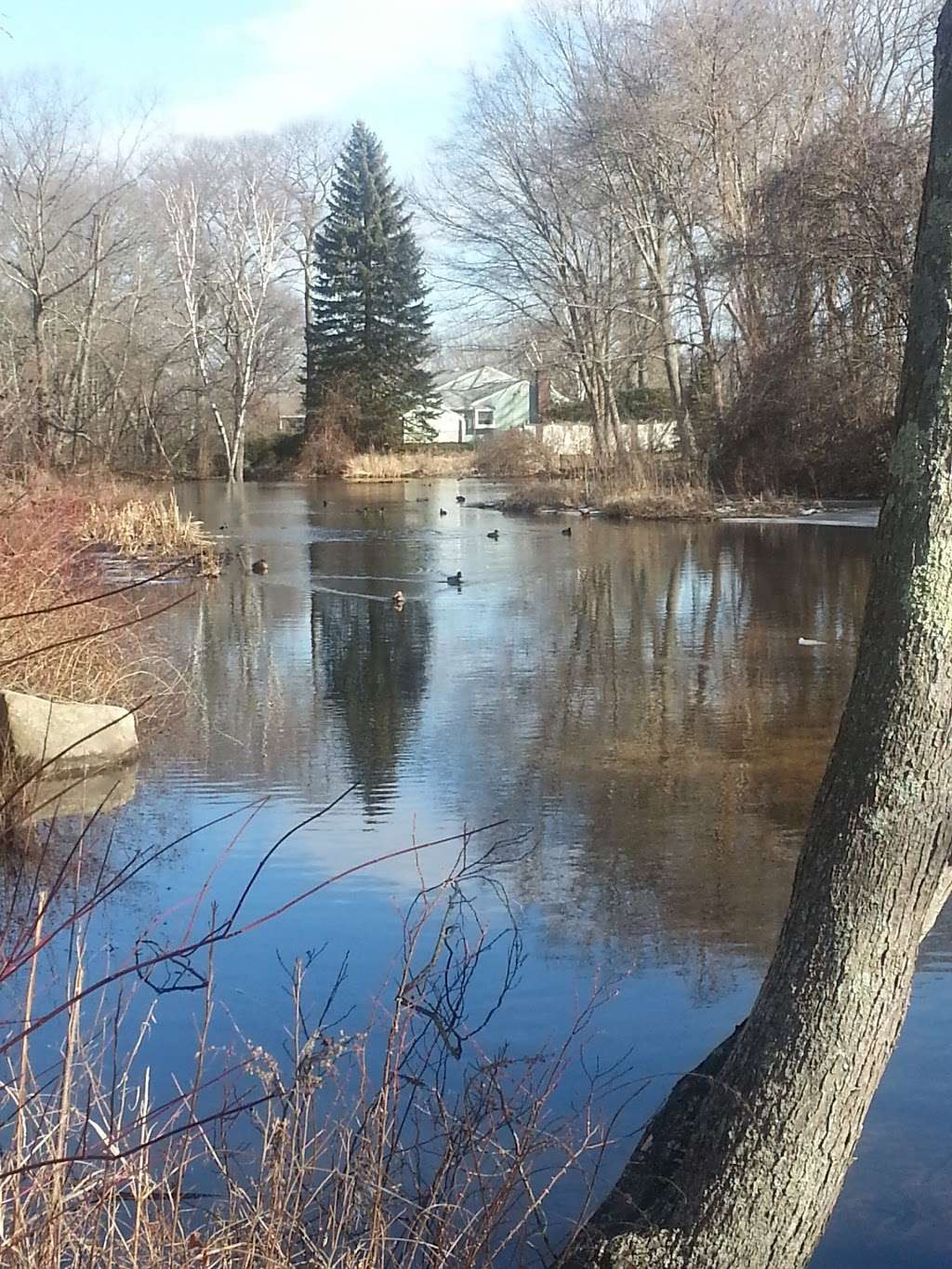 William Pezwick Park Mill Pond @Trap Hole Brook | Sumner St, Norwood, MA 02062