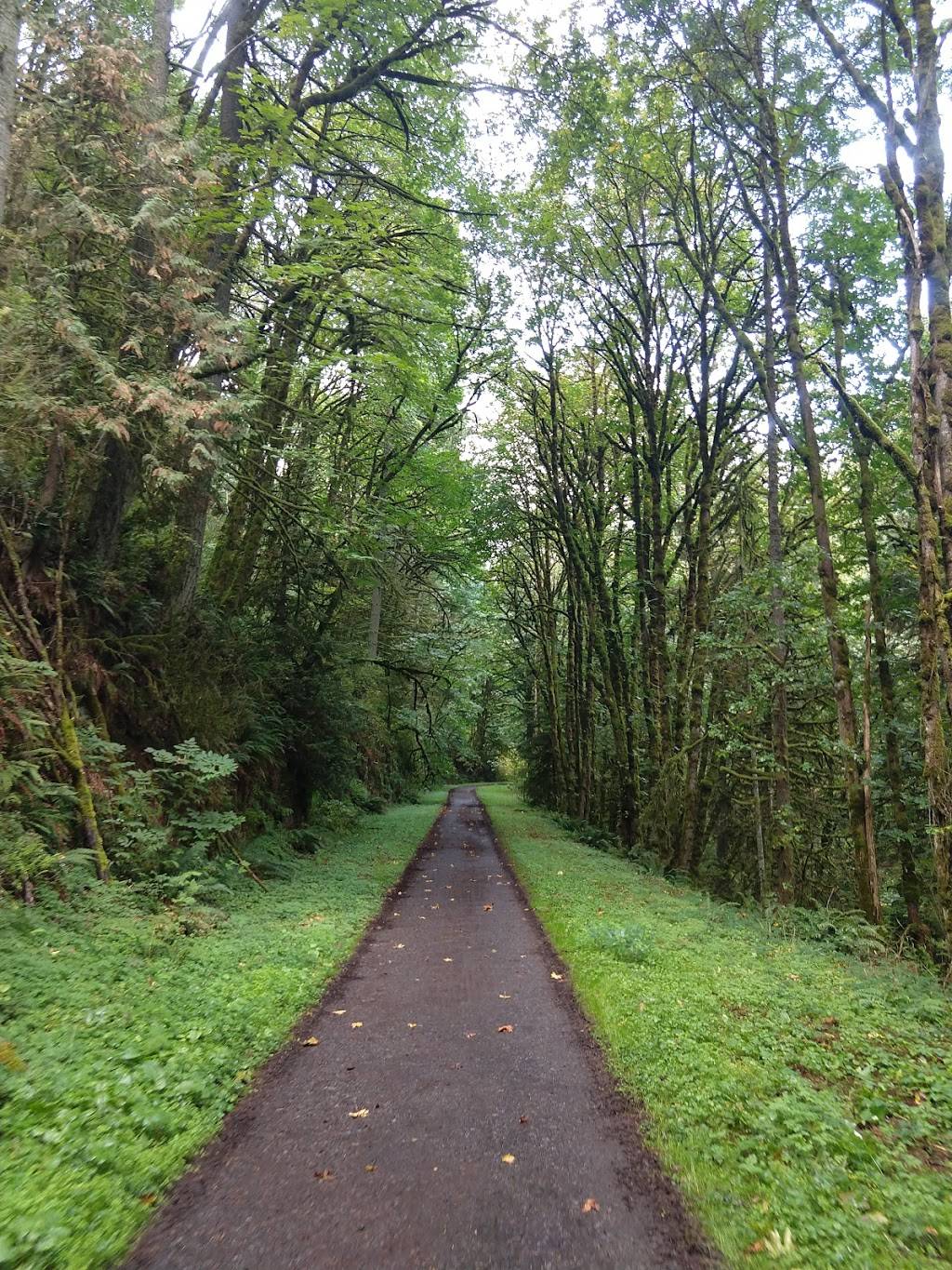 Lower Saltzman Road Trailhead | 5991-6099 NW Saltzman Rd, Portland, OR 97210, USA | Phone: (503) 223-5449