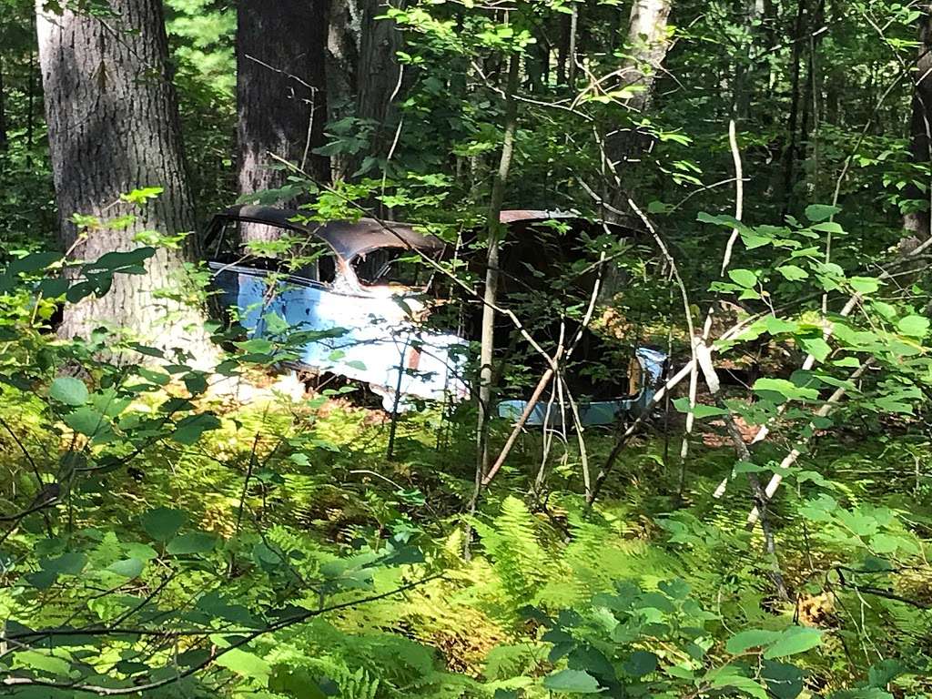 Hazels Beaver Point Picnic Table | Northborough, MA 01532, USA