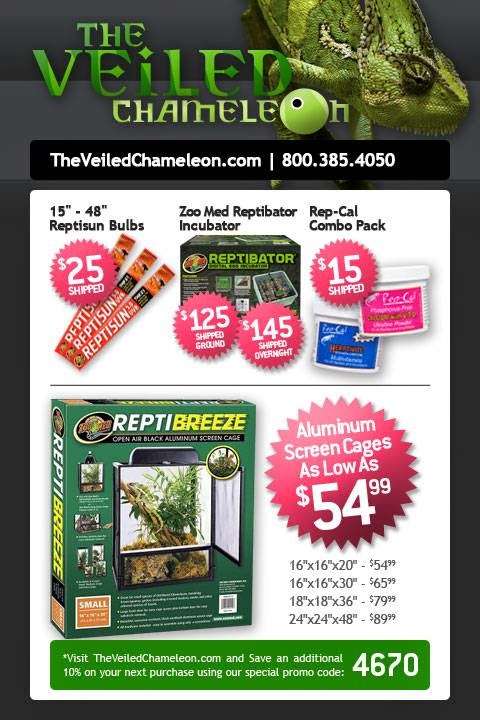 The Veiled Chameleon | 4562 NW 58th Ct, Tamarac, FL 33319, USA | Phone: (954) 729-0999