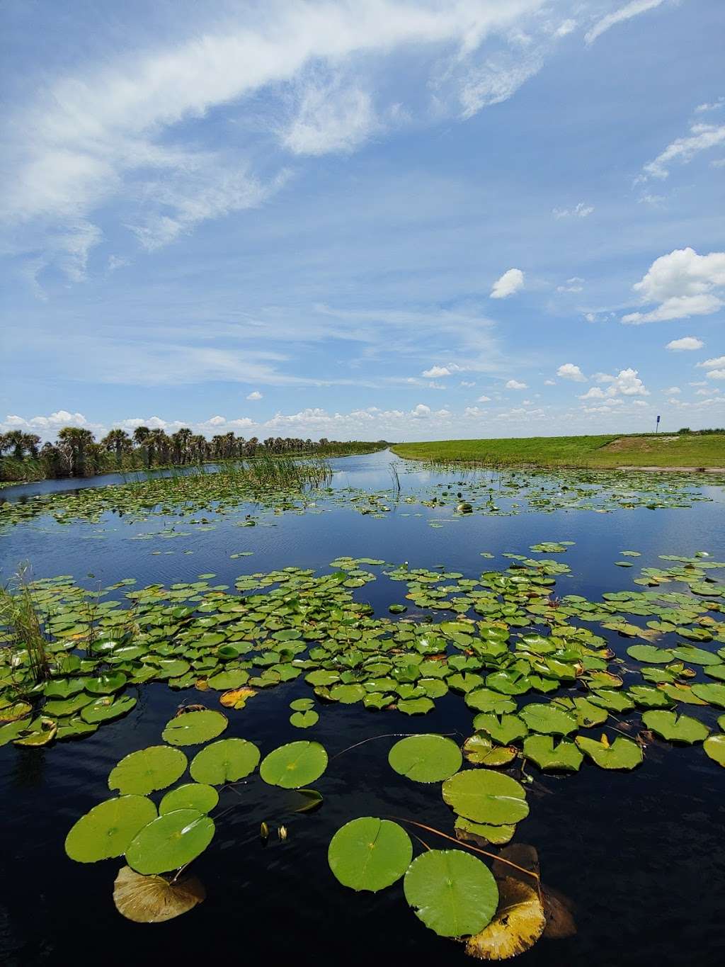 Upper St. Johns River Marsh Wildlife Management Area | Melbourne, FL 32904, USA | Phone: (386) 329-4404