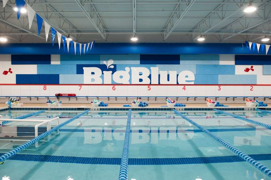 Big Blue Swim School - Niles | 7428 Waukegan Rd, Niles, IL 60714, USA | Phone: (847) 729-7665