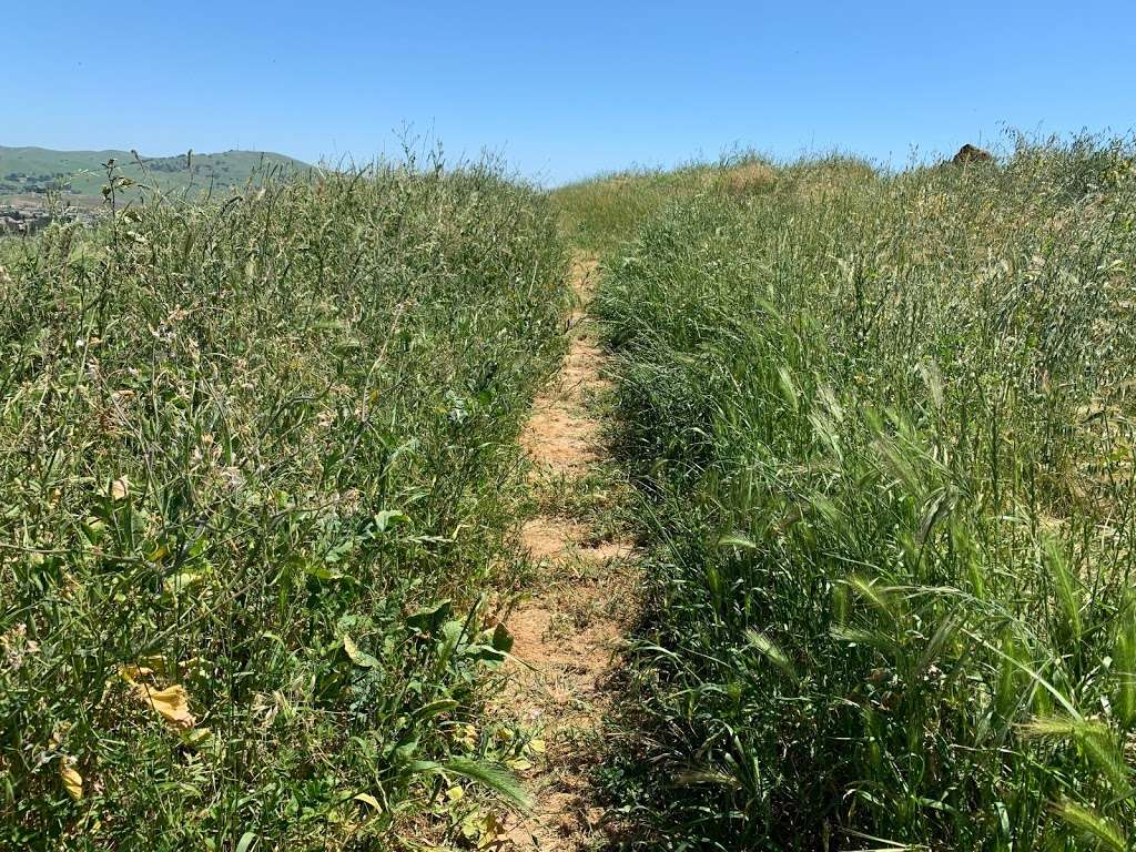 Hilbkorn Open Space Preserve Hiking Trailhead | Fairfield, CA 94534, USA