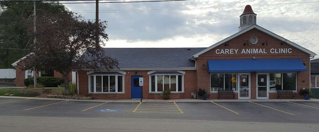 Carey Animal Clinic | 205 Church St, New Lenox, IL 60451, USA | Phone: (815) 462-2731