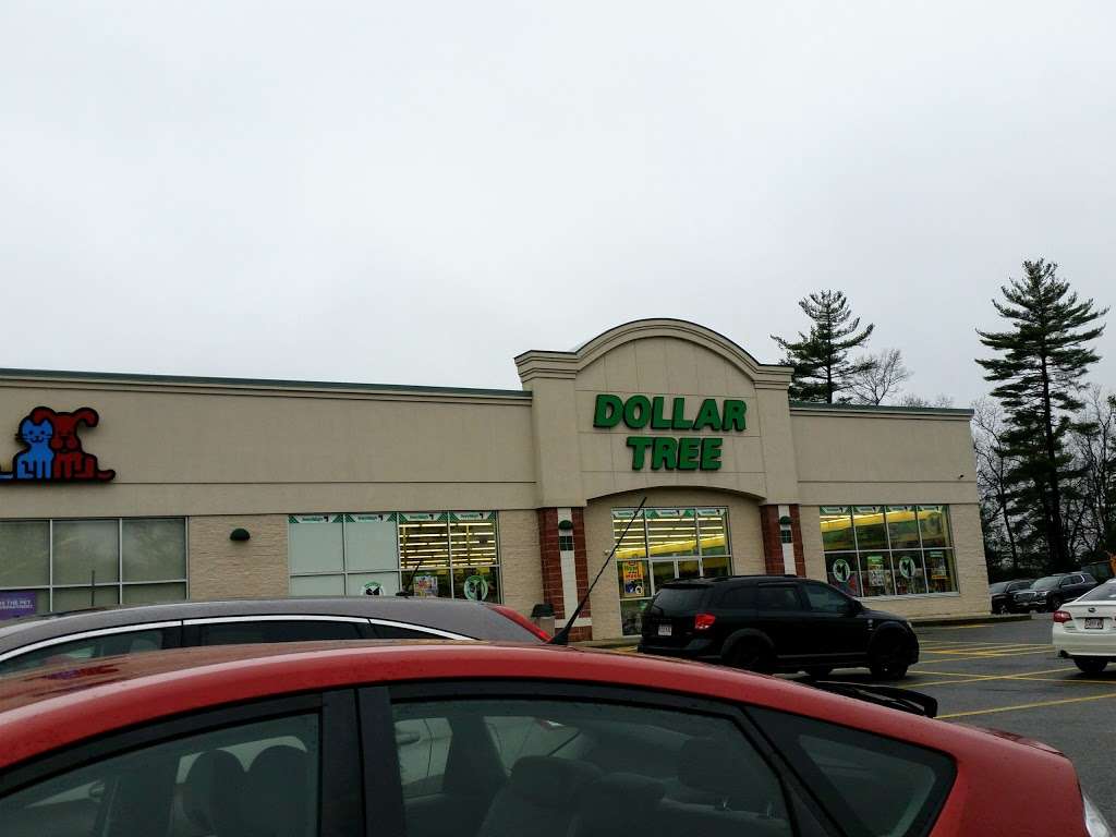 Dollar Tree | 213 Washington St, Hudson, MA 01749, USA | Phone: (978) 310-8004