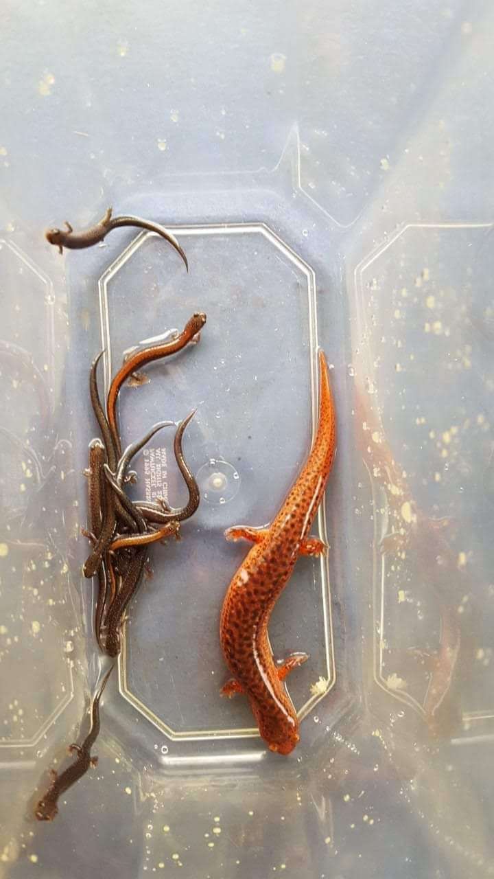 Soldiers Delight Visitor Center | 5100 Deer Park Rd, Owings Mills, MD 21117, USA | Phone: (410) 922-3044 Soldiers Delight Visitor Center | 5100 Deer Park Rd, Owings Mills, MD 21117, USA | Phone: (410) 922-3044