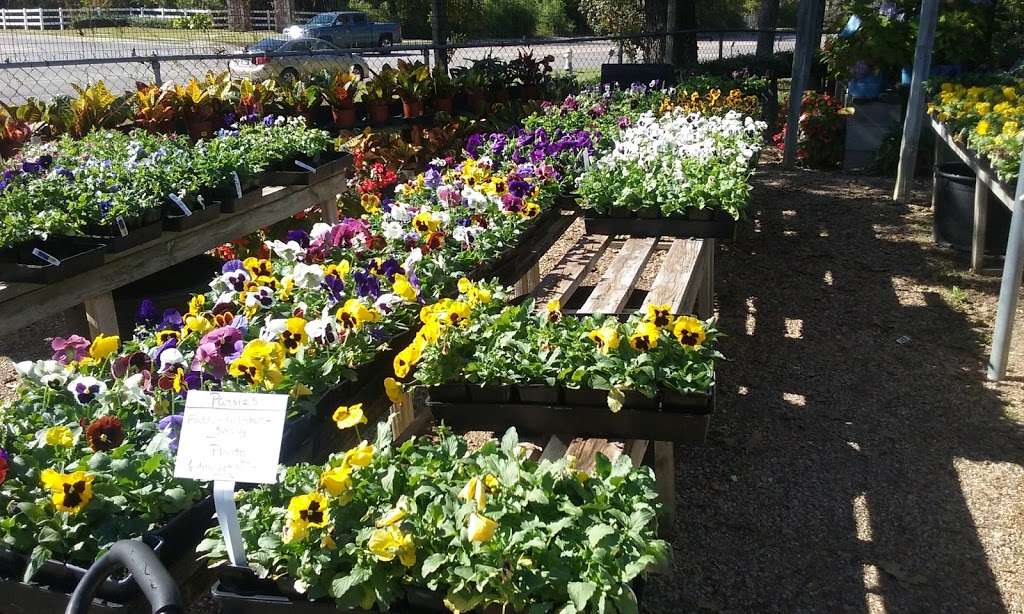 Chambers Nursery Garden Center | 3307 W Shady Grove Rd, Irving, TX 75060, USA | Phone: (972) 986-5903