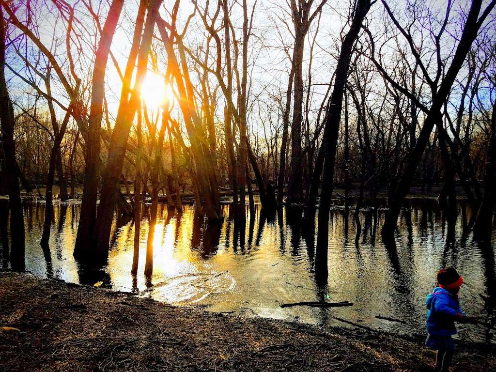 Quercus Woods Family Picnic Area | Maywood, IL 60153, USA