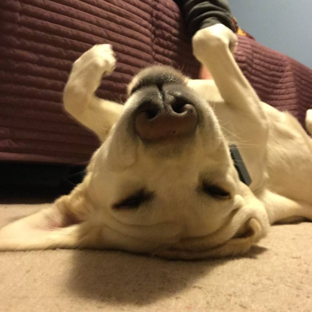 Ross A. Newlund, LICSW. Mental Health Professional | 3400 Hennepin Ave S, Minneapolis, MN 55408, USA | Phone: (612) 879-3538