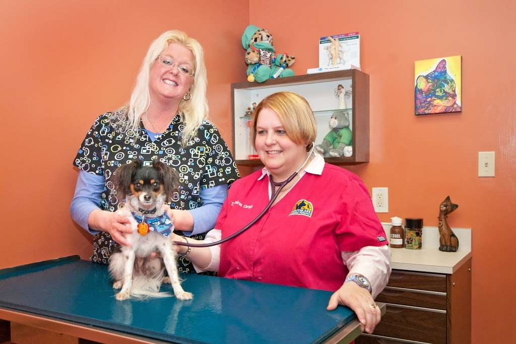 Southlake Animal Hospital PC | 3570 E Lincoln Hwy, Merrillville, IN 46410, USA | Phone: (219) 942-0909