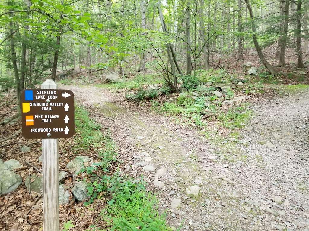 Sterling Forest Corporation 16 Sterling Lake Rd Tuxedo Park Ny 10987 Usa