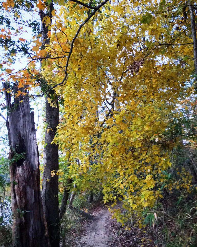 USNWC North Main & Figure 8 Trailhead | Charlotte, NC 28214, USA