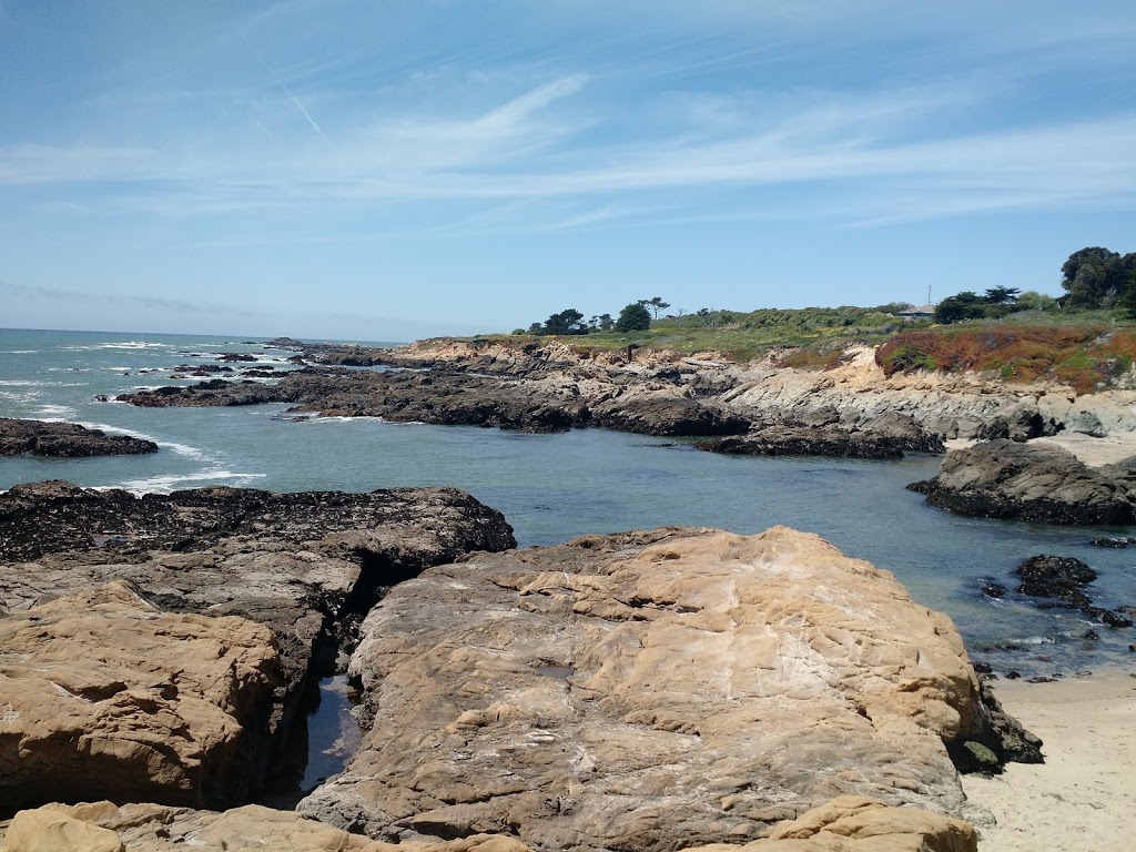 Bean Hollow State Beach | New Years Creek Rd, Pescadero, CA 94060, USA | Phone: (650) 726-8819