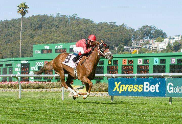 Golden Gate Fields | 1100 Eastshore Hwy, Berkeley, CA 94710, USA | Phone: (510) 559-7300 Golden Gate Fields | 1100 Eastshore Hwy, Berkeley, CA 94710, USA | Phone: (510) 559-7300