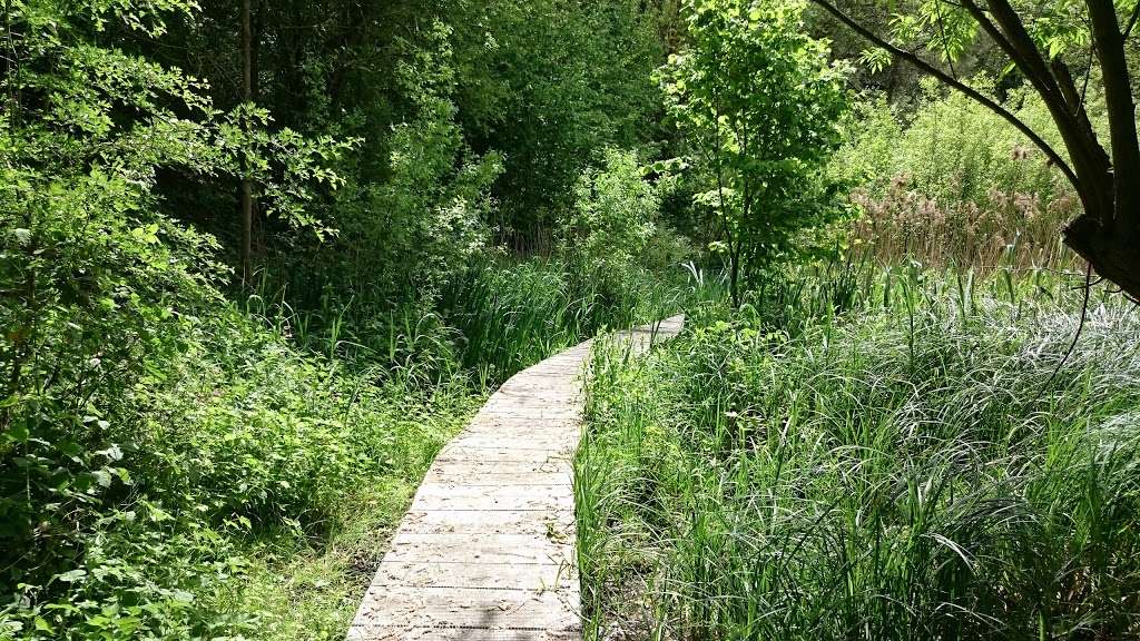 Marshgate Spring Nature Reserve. | Edinburgh Way, Harlow CM20 2SU, UK