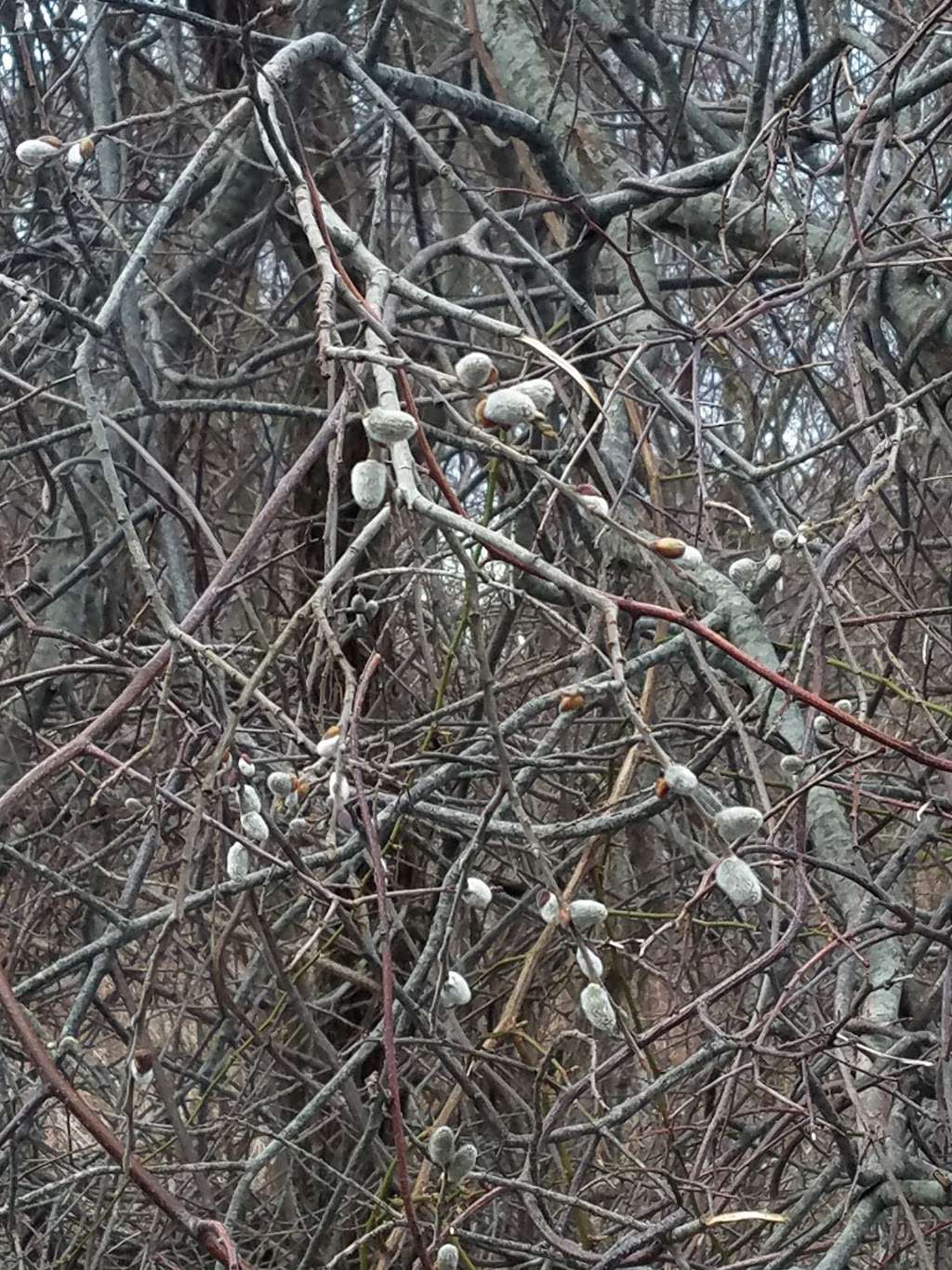 Triphammer Pond | Hingham, MA 02043, USA