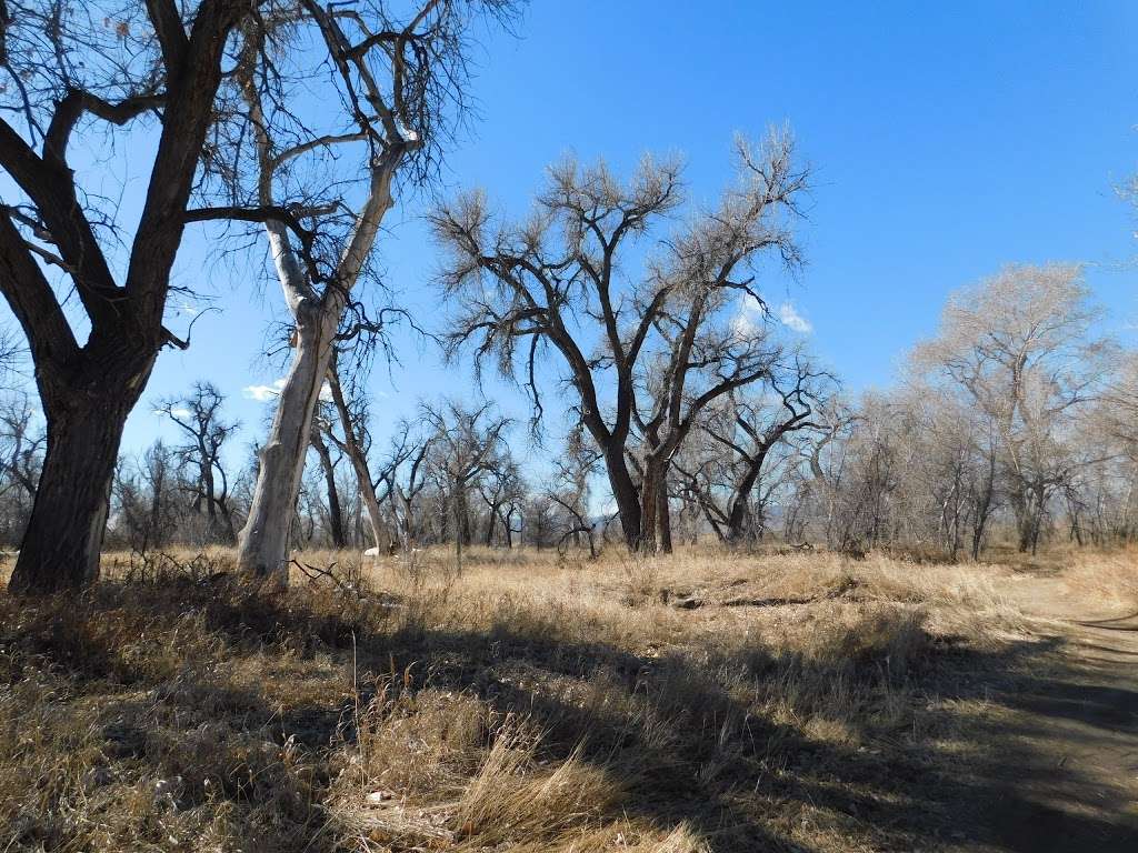 Northern Wildlife Area | Mary Carter Greenway Trail, Littleton, CO 80120, USA