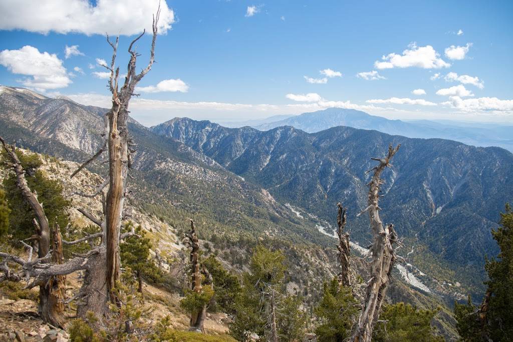 San Gorgonio Wilderness | Angelus Oaks, CA 92305, USA | Phone: (909) 382-2882