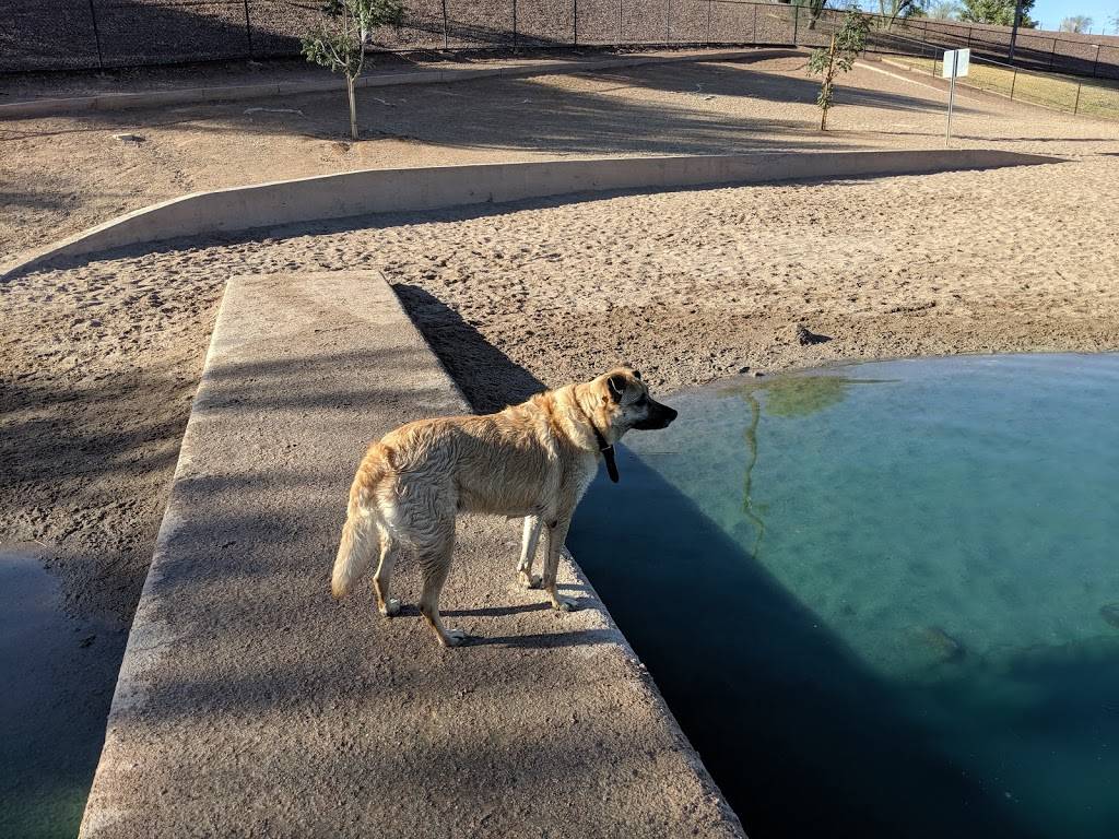 Cosmo Dog Park | 2502 E Ray Rd, Gilbert, AZ 85296, USA | Phone: (480) 503-6200