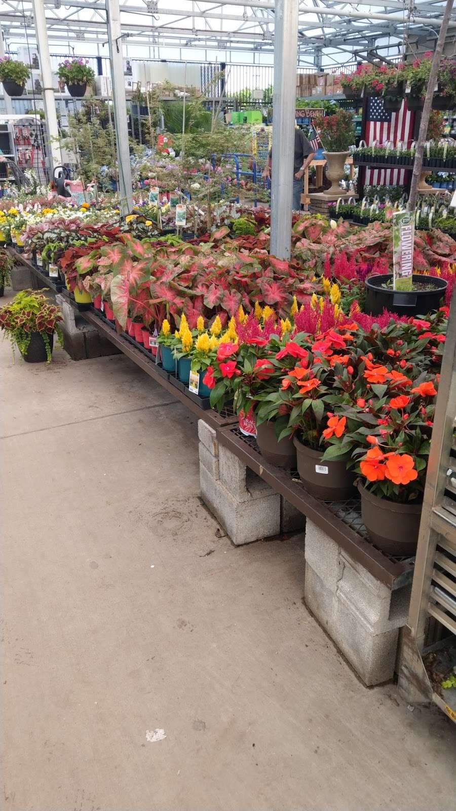 Lowes Garden Center | 3421 Horizon Blvd, Trevose, PA 19053, USA | Phone: (215) 485-4200