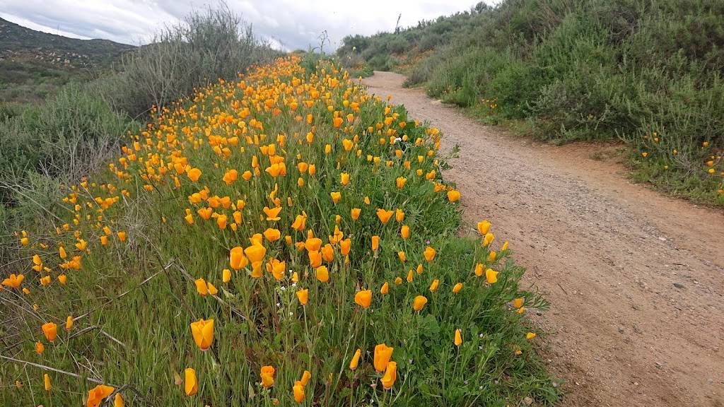 Mount Woodson Summit | 17130 Mt Woodson Rd, Ramona, CA 92065, USA