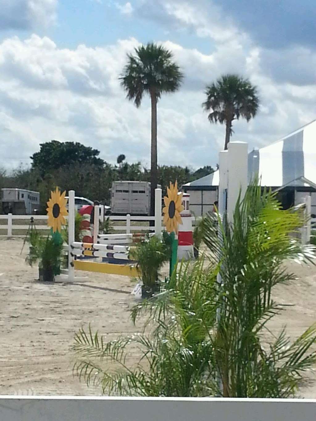 Plantation Equestrian Center | 1451 NW 118th Ave, Plantation, FL 33323, USA | Phone: (954) 476-4316