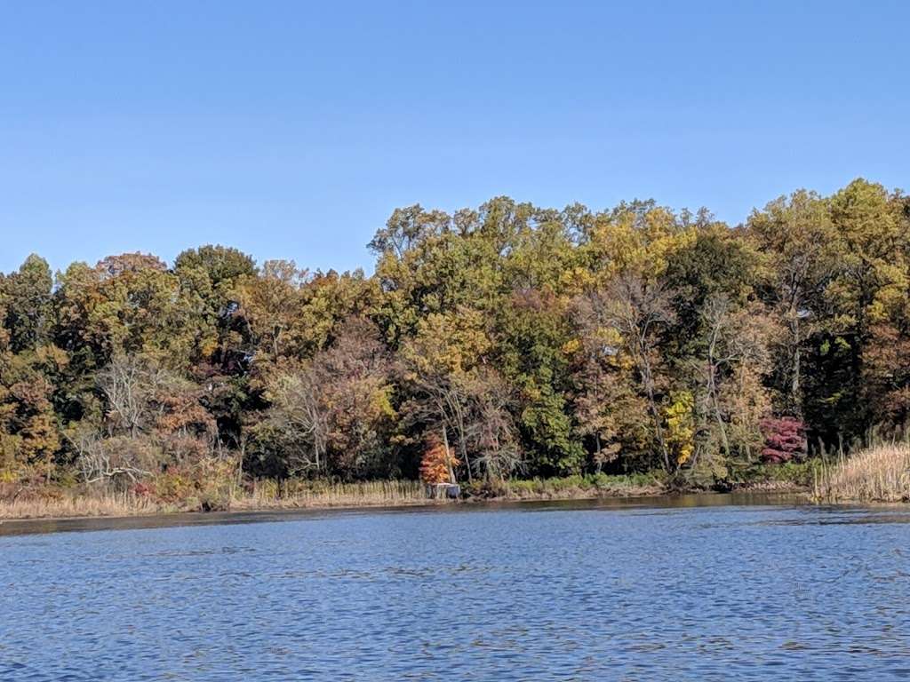 Abbott Marshlands | Bordentown, NJ 08505, USA