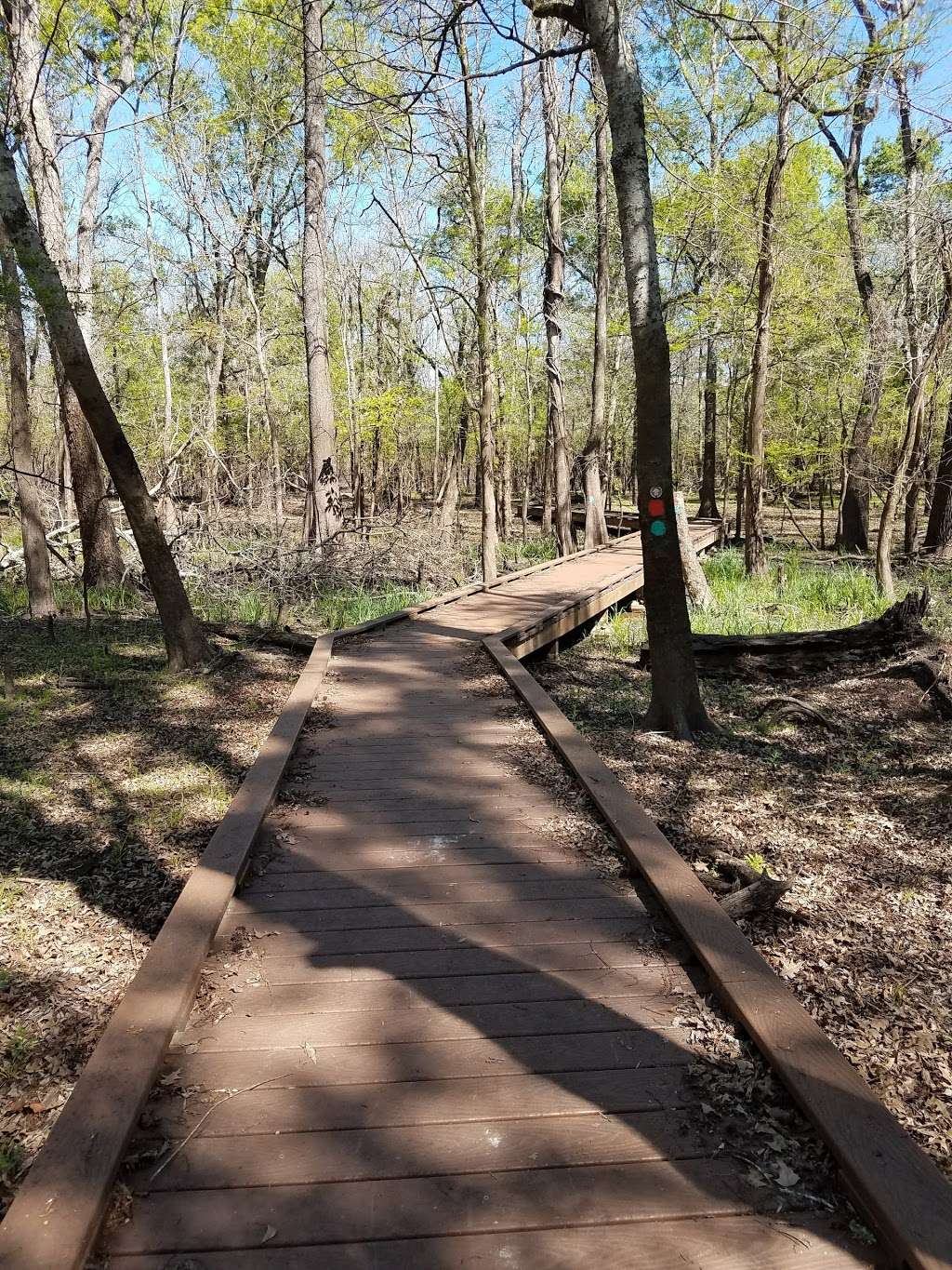 Palmer Bayou Boardwalk, Trinity River National Wildlife Refuge | Liberty, TX 77575, USA