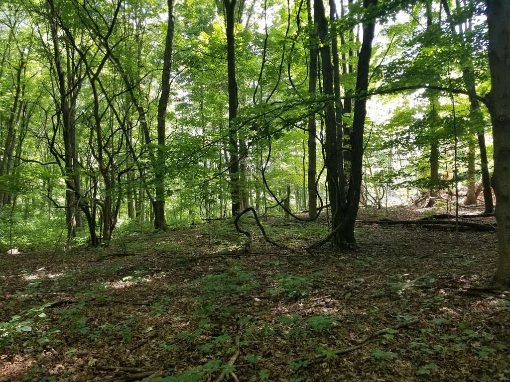 Pinhook Bog | 945 N Wozniak Rd, La Porte, IN 46350, USA | Phone: (219) 395-1882