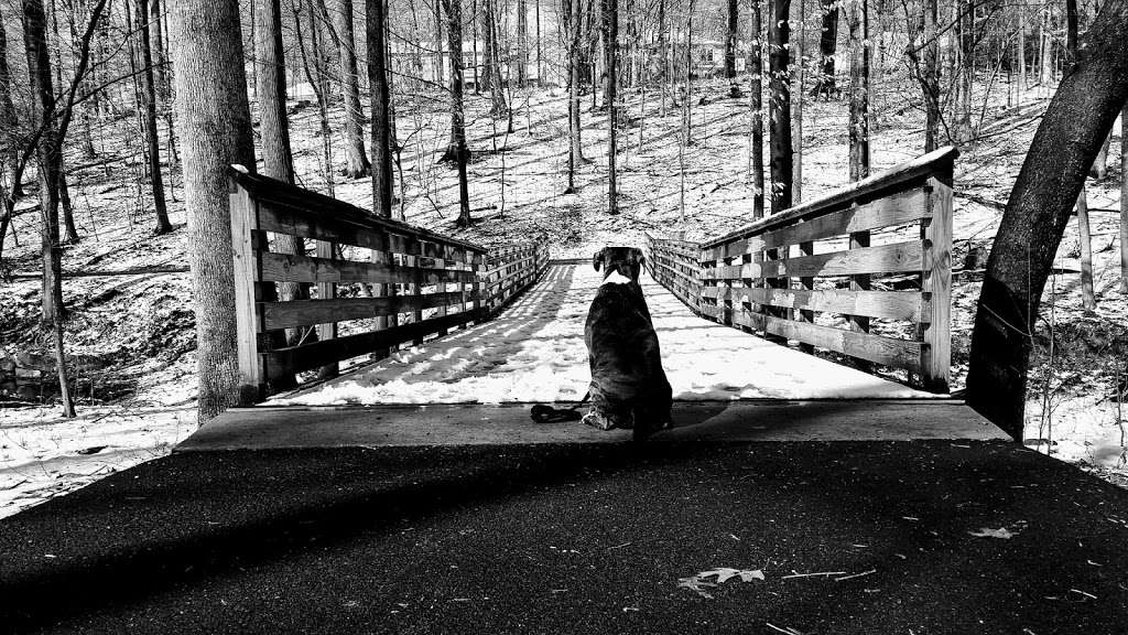 Crystal Rock Trail | Crystal Rock Trail, Germantown, MD 20874, USA