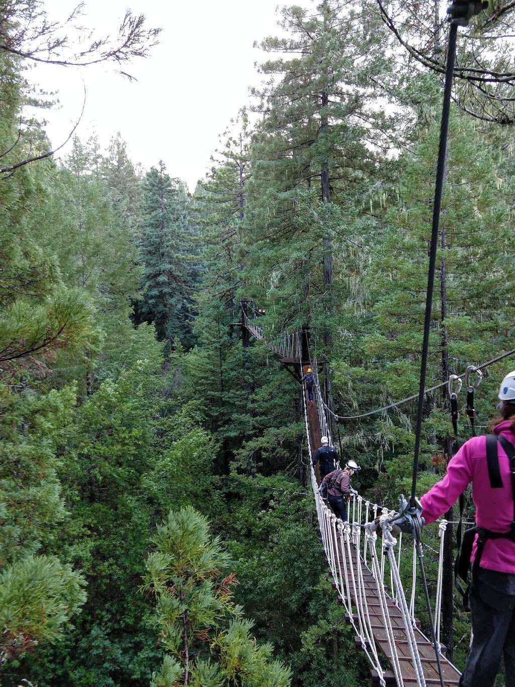 Sonoma Canopy Tours | 6250 Bohemian Hwy, Occidental, CA 95465, USA | Phone: (888) 494-7868