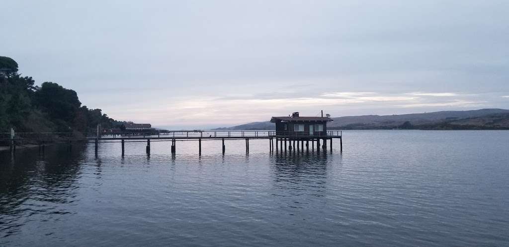 Dancing Coyote Beach Cottages | 12794 Sir Francis Drake Blvd, Inverness, CA 94937, USA | Phone: (415) 669-7200