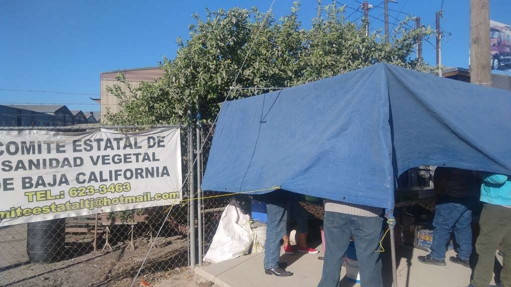 Burritos La Güera | Vía de la Juventud Ote LB, Garita de Otay, Tijuana, B.C., Mexico