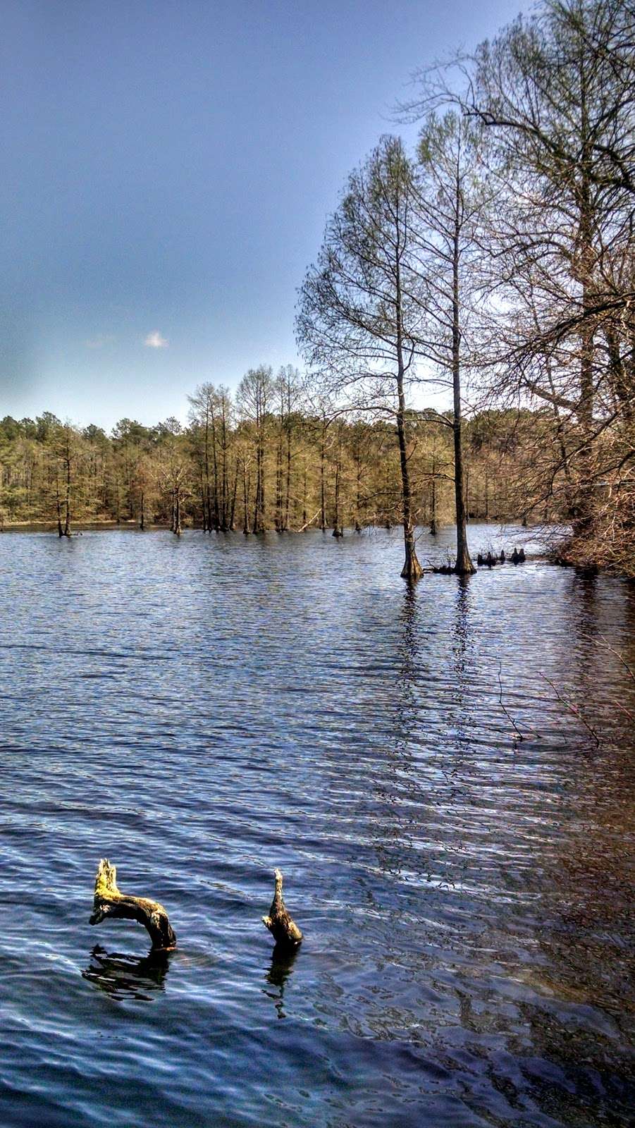 Trap Pond State Park | 33587 Baldcypress Lane, Laurel, DE 19956, USA | Phone: (302) 875-5153