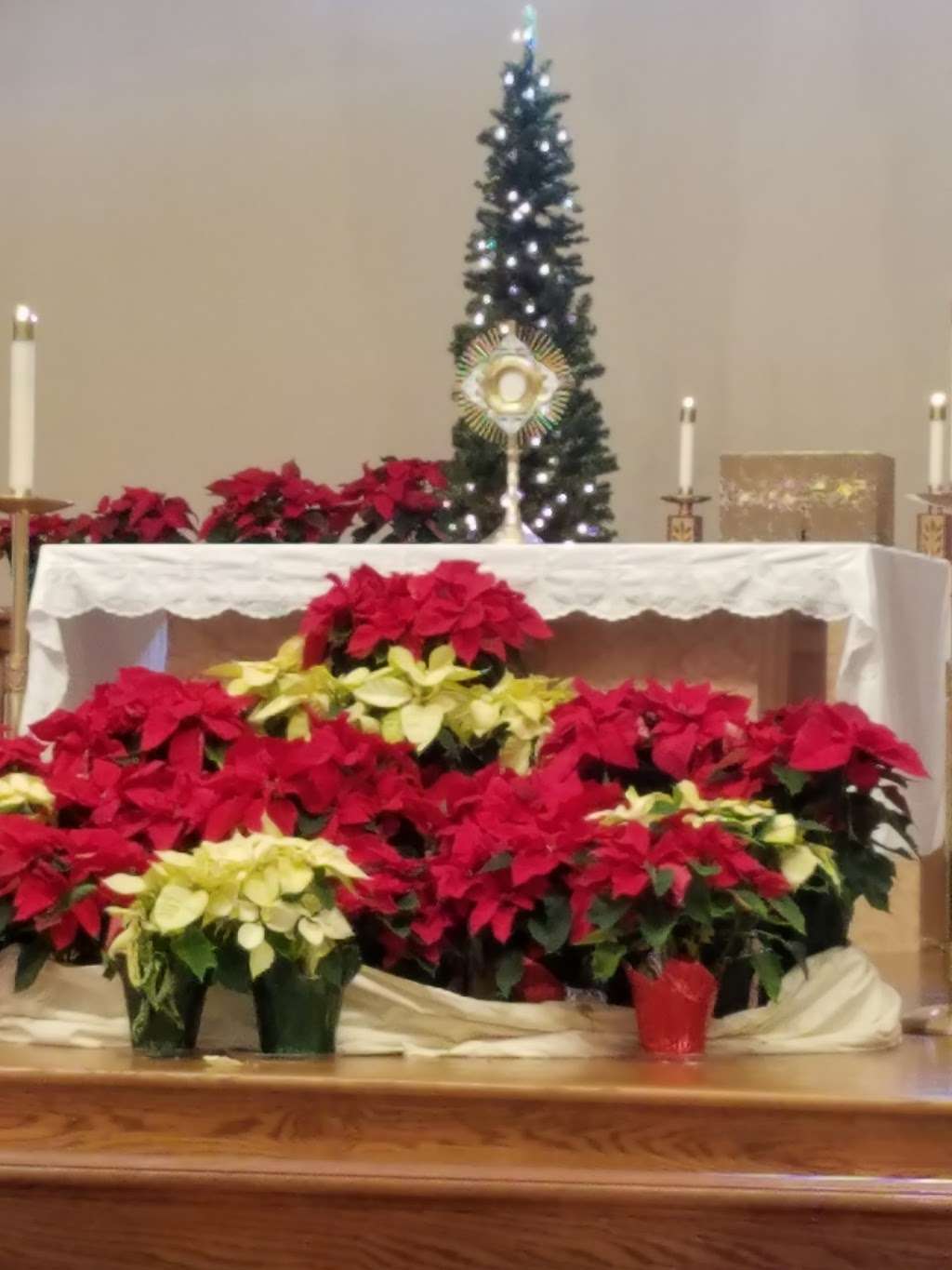 Our Lady of Grace Catholic Church | 7095 Waxhaw Hwy, Lancaster, SC 29720 | Phone: (803) 283-4969