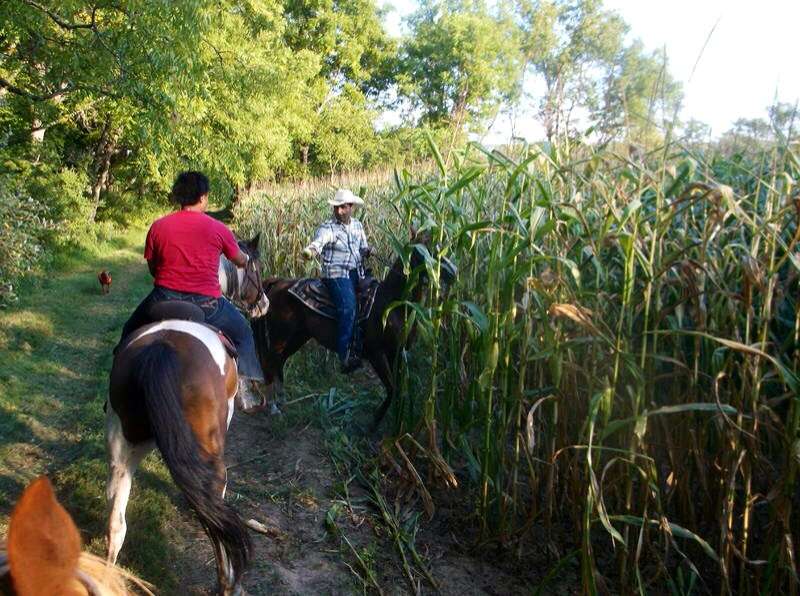 Serene Horse Ranch | 61 Co Rd 560, Branchville, NJ 07826, USA | Phone: (201) 841-9754