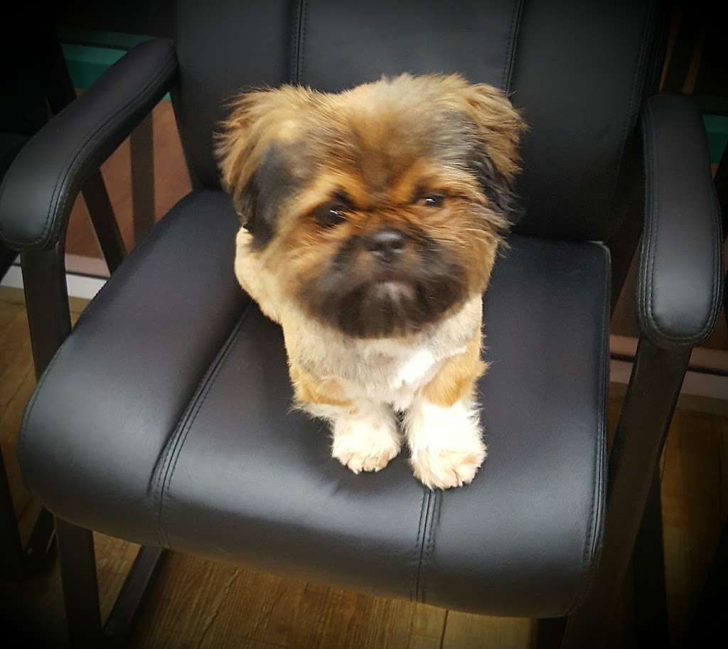 Menifee Valley Animal Clinic | 26900 Newport Rd, Menifee, CA 92584, USA | Phone: (951) 672-8077 Menifee Valley Animal Clinic | 26900 Newport Rd, Menifee, CA 92584, USA | Phone: (951) 672-8077