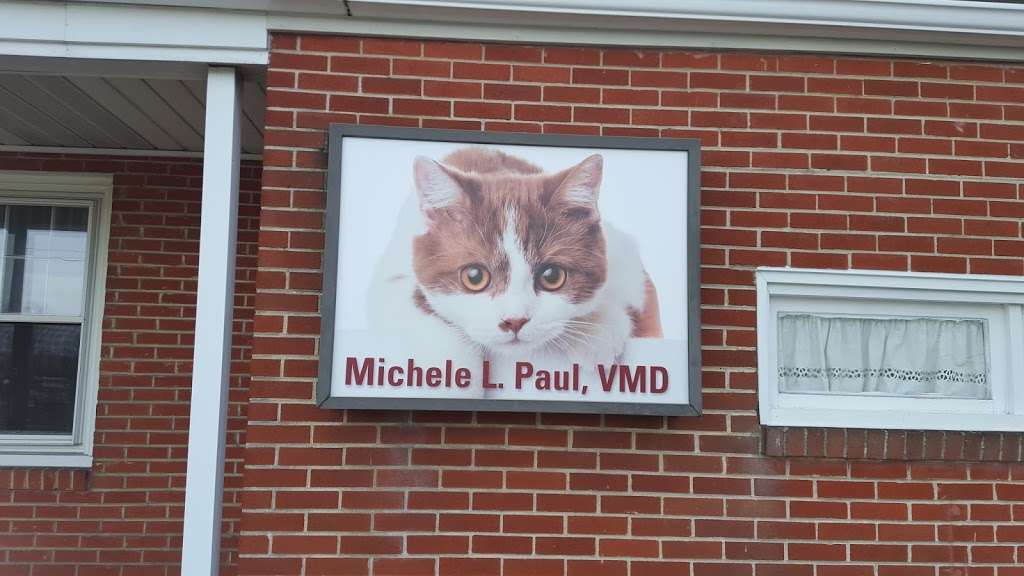 Allentown Cat Clinic, PC | 4090 Tilghman St, Allentown, PA 18104, USA | Phone: (610) 398-3556