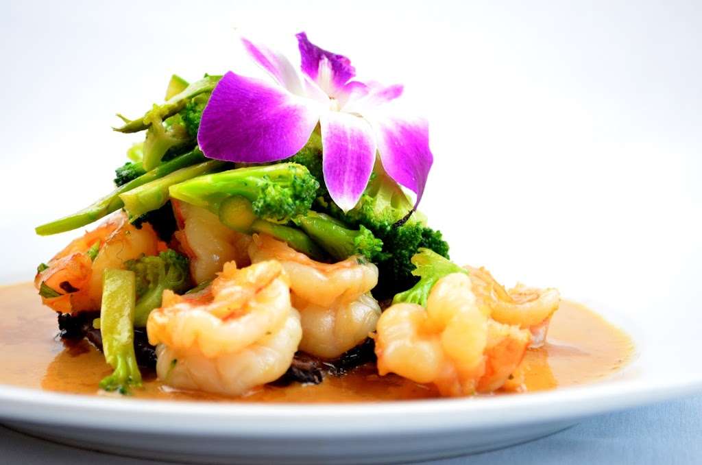 Red Fish Seafood Grill | 19550 TX-249, Houston, TX 77070, USA | Phone: (281) 970-8599