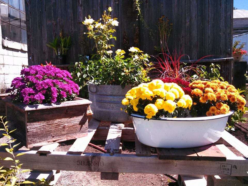 Lloyd Landscaping & Garden Center | 662 Park Ave, Genoa, IL 60135, USA | Phone: (779) 382-0402