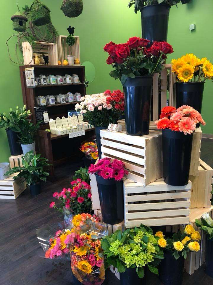 Welcome To Floristry | 600 Broadway #1, Haverhill, MA 01832, USA | Phone: (978) 914-6504