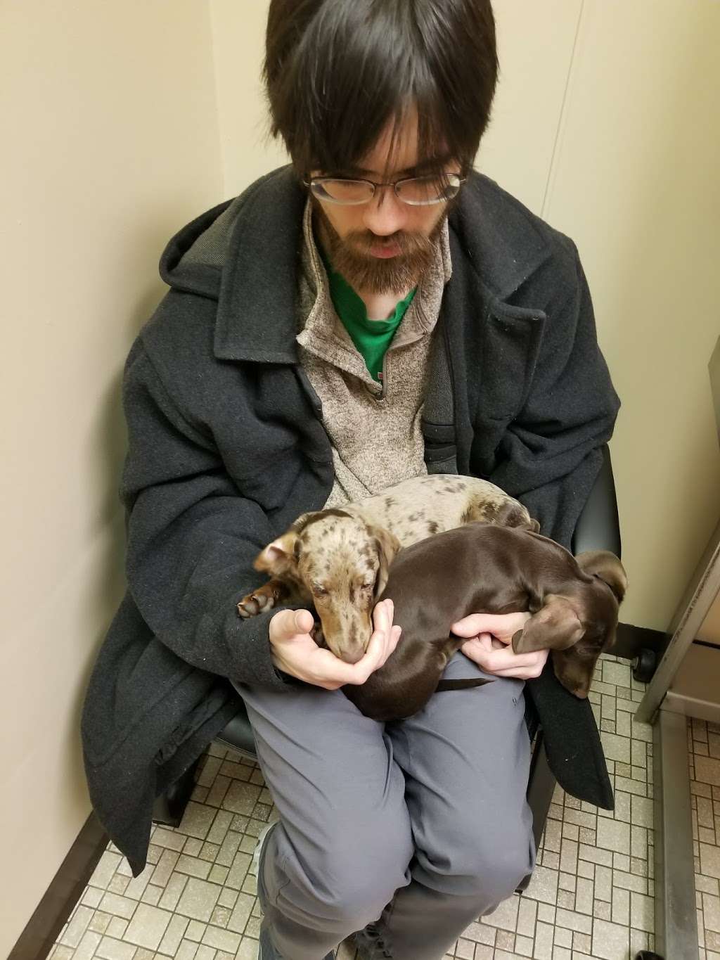 Animal Clinic of Michigan City | 1943 S Woodland Ave, Michigan City, IN 46360, USA | Phone: (219) 879-0249