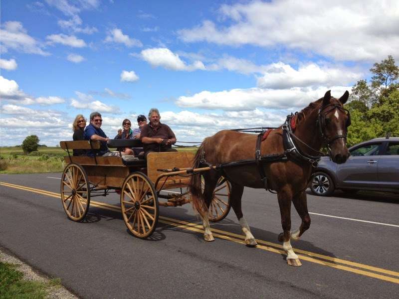 Bonnymeed Farms | 1212 River Rd, Shepherdstown, WV 25443 | Phone: (304) 876-1307