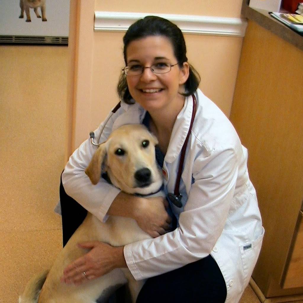 Village Veterinary Hospital | 50150 Governors Dr, Chapel Hill, NC 27517, USA | Phone: (919) 967-4779