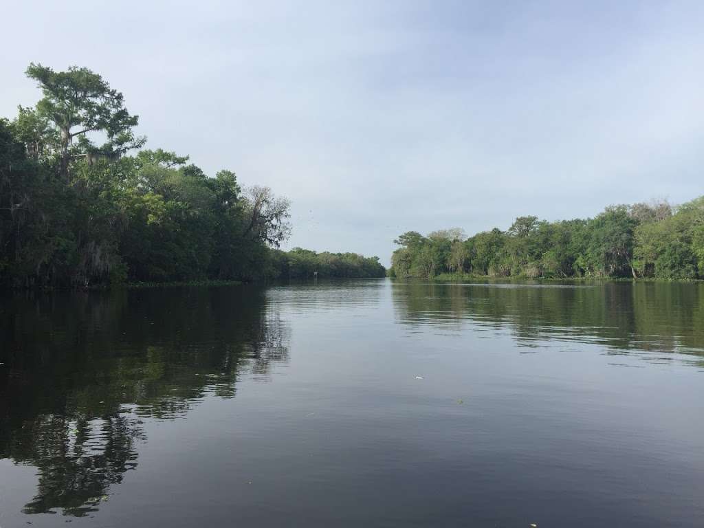 St Johns River Guided Cruises And Kayak Tours | DeBary, FL 32713