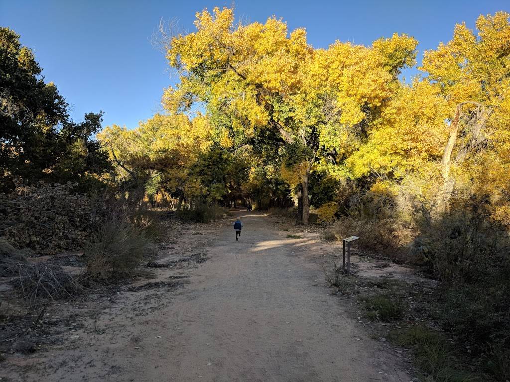 Willow Creek Trailhead and Open Space | Willow Creek Rd NE, Rio Rancho, NM 87144, USA | Phone: (505) 891-5015