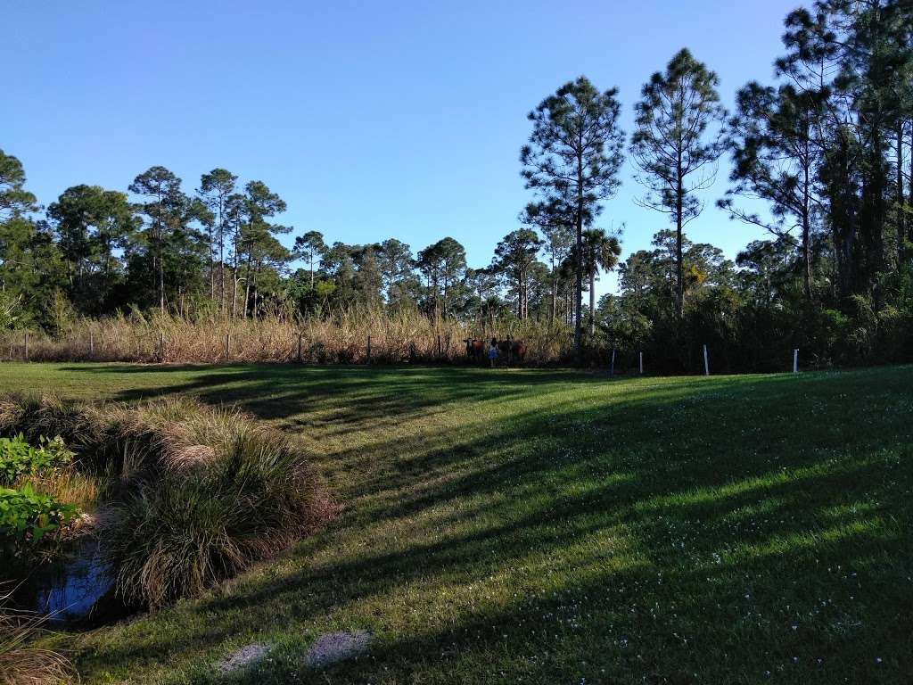 Saint Lucie North Group Campground | 2170 Canal St, Stuart, FL 34997, USA