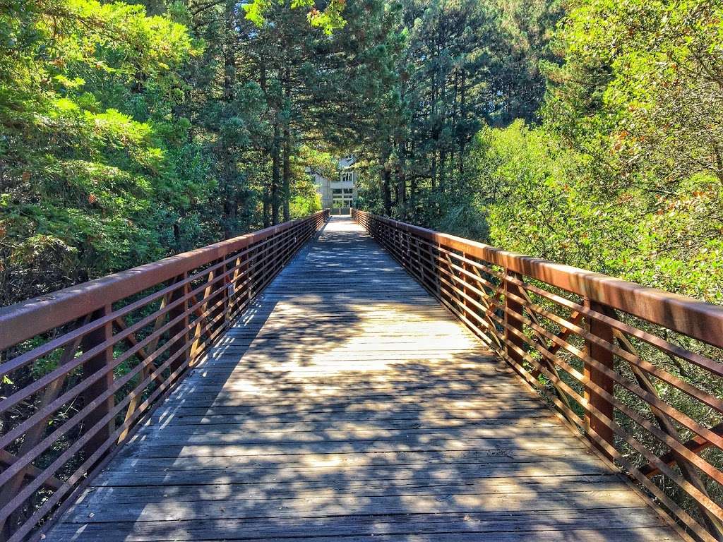 University of California Santa Cruz | 1156 High St, Santa Cruz, CA 95064, USA | Phone: (831) 459-0111